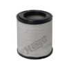 GM 25313890 Air Filter